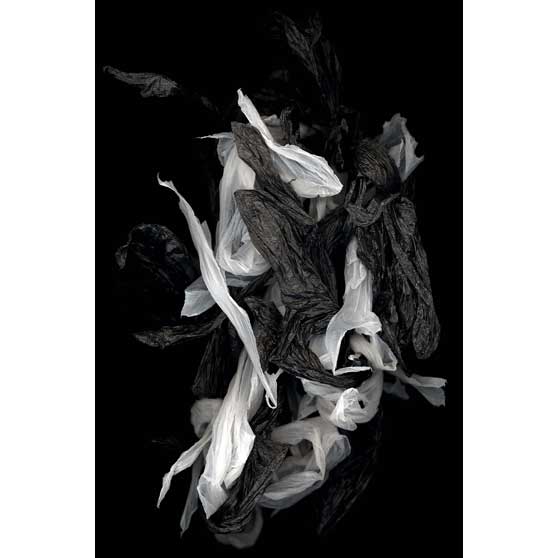 Huang Xu, Fragment No.12, 2007, HX012