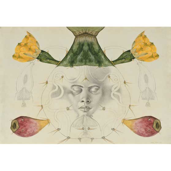 Rafael Trelles, Untitled Drawing #4, 2013, RT04