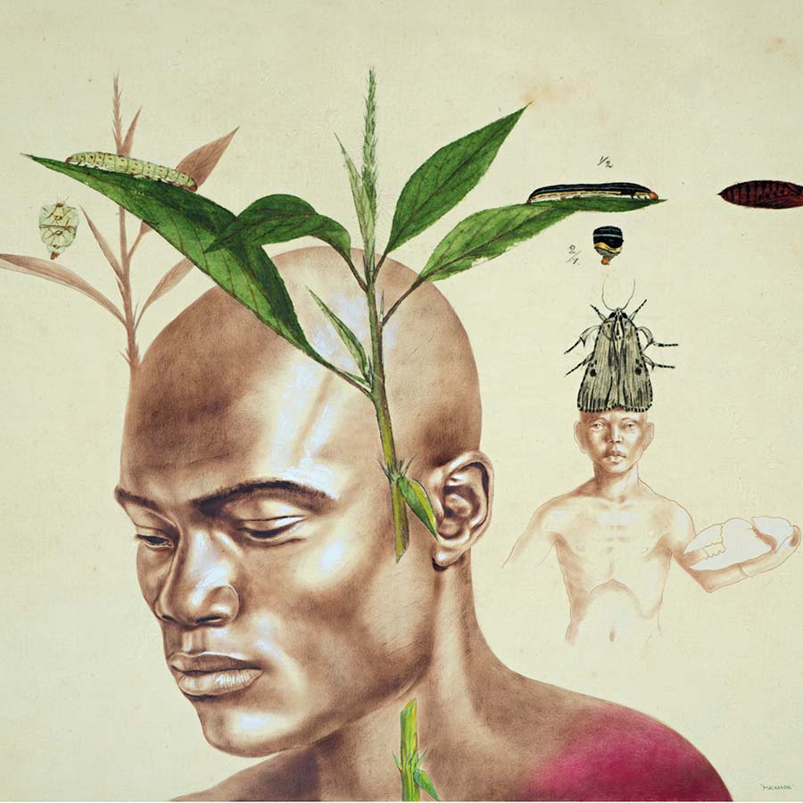 Rafael Trelles, Mackandal, 2018. Pencil and block printing ink on a digital reproduction of a watercolour by Dr. Agustín Stahl, 59 x 79 cm.